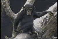 -双拥公园