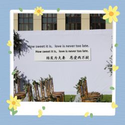-保定金沙芝柏婚礼策划