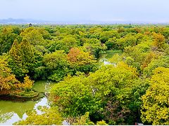 -西溪国家湿地公园