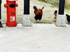 -程阳八寨景区