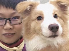 -顺强宠物诊所·狂犬免疫·夜诊·骨科(嘉定店)