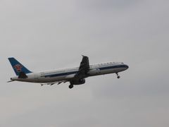 -空港花田景区