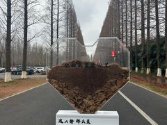 -黄海国家森林公园