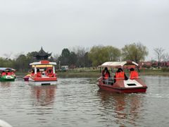 -杭州湾海上花田景区