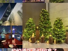 -上海柏悦酒店