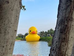-深圳人才公园