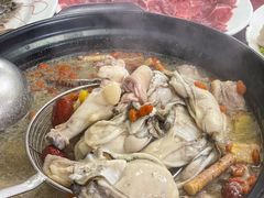 -花苑美食横琴生蚝火锅(拱北粤华路店)