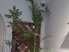 -沐森 •疗愈头疗馆(打浦桥店)