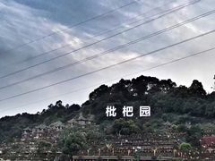 -枇杷园食为鲜火锅(南山店)