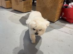 -亮雅轩图文快印连锁24小时(百子湾苹果社区店)