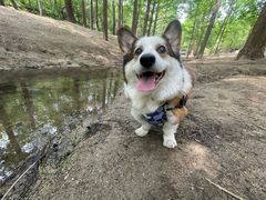 -白水寺森林公园