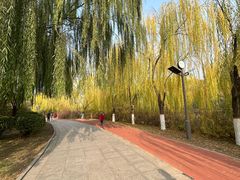 -南翠屏公园