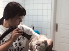 -老吴的猫·猫舍(新区店)