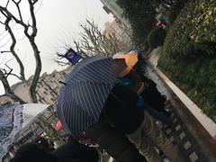 -同济大学附属口腔医院