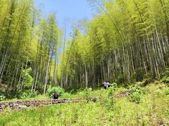 -五泄景区