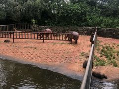 -海南热带野生动植物园