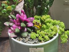 -扶光书店(中环店)