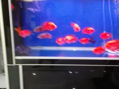 -绿岛汤泉韩式休闲会所