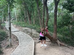 -上海佘山国家森林公园天马山园