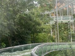 -嵖岈山风景区