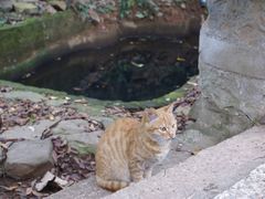 -雨花胜境