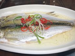 白水鱼-三林本帮馆(中林街店)