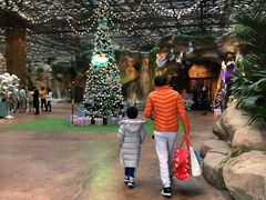 -杭州开元森泊度假乐园