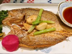 香煎大黄鱼-蚝魁·海鲜大排档·啫啫·生蚝(体育西店)