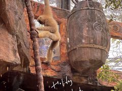 -长鹿旅游休博园