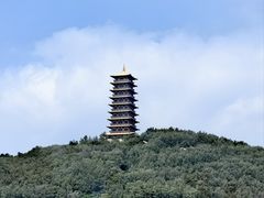 -大伊山景区
