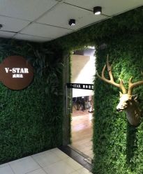 -V-STAR威斯达•高级私人定制