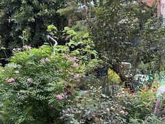 -人民公园(罗湖区)