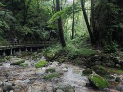 -牛背梁国家森林公园
