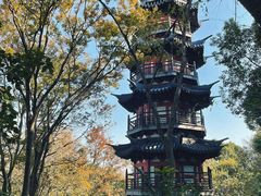 -上海佘山国家森林公园西佘山园