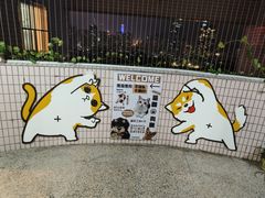 -有喵·猫咖·狗咖·30几只猫10只小狗(岗厦店)