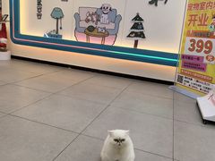 -全心全意动物诊疗中心医院(北苑店)