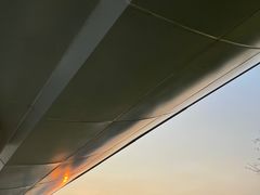 -COS(益田假日广场店)