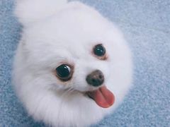 -萌兽医馆·眼科·异宠专科(三里屯店)