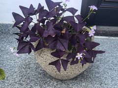 -丝绸小镇荻港古村