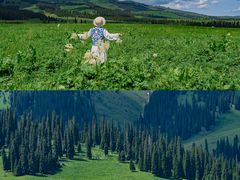 -新疆那拉提国家旅游度假区