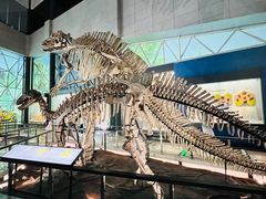 -湖南省地质博物馆