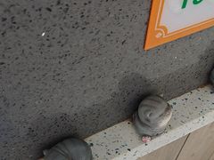 -半岛宠物医院24小时(白果林店)