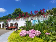 -紫颐香薰山谷景区