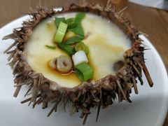 海胆蒸蛋-海胆小馆(东北水饺·春柳店)