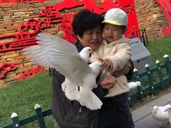 -西安曲江寒窑遗址公园