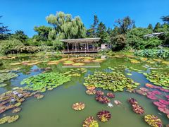 -国家植物园南园