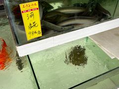 -水上人家河鲜