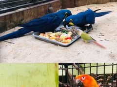 -北京野生动物园