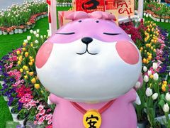 -荷兰花海