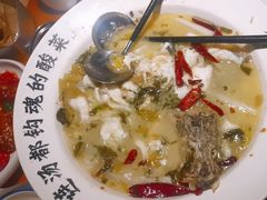 -宋小谨(惠安禹洲店)